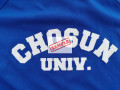 chosun-university-crop-top-small-0